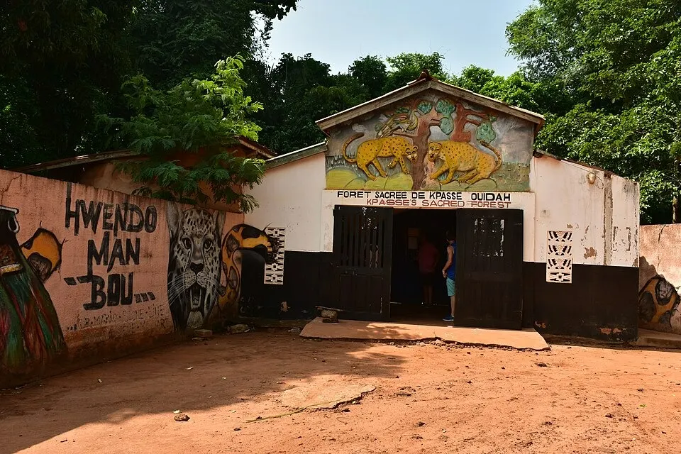 5 unverzichtbare Orte in Benin, heiliger Wald von Kpassè