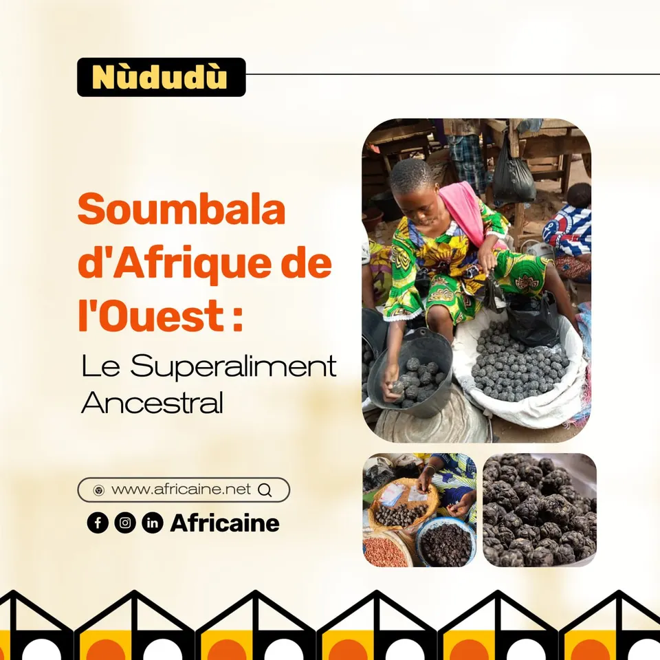 soumbala afrique de l'ouest condiment traditionnel