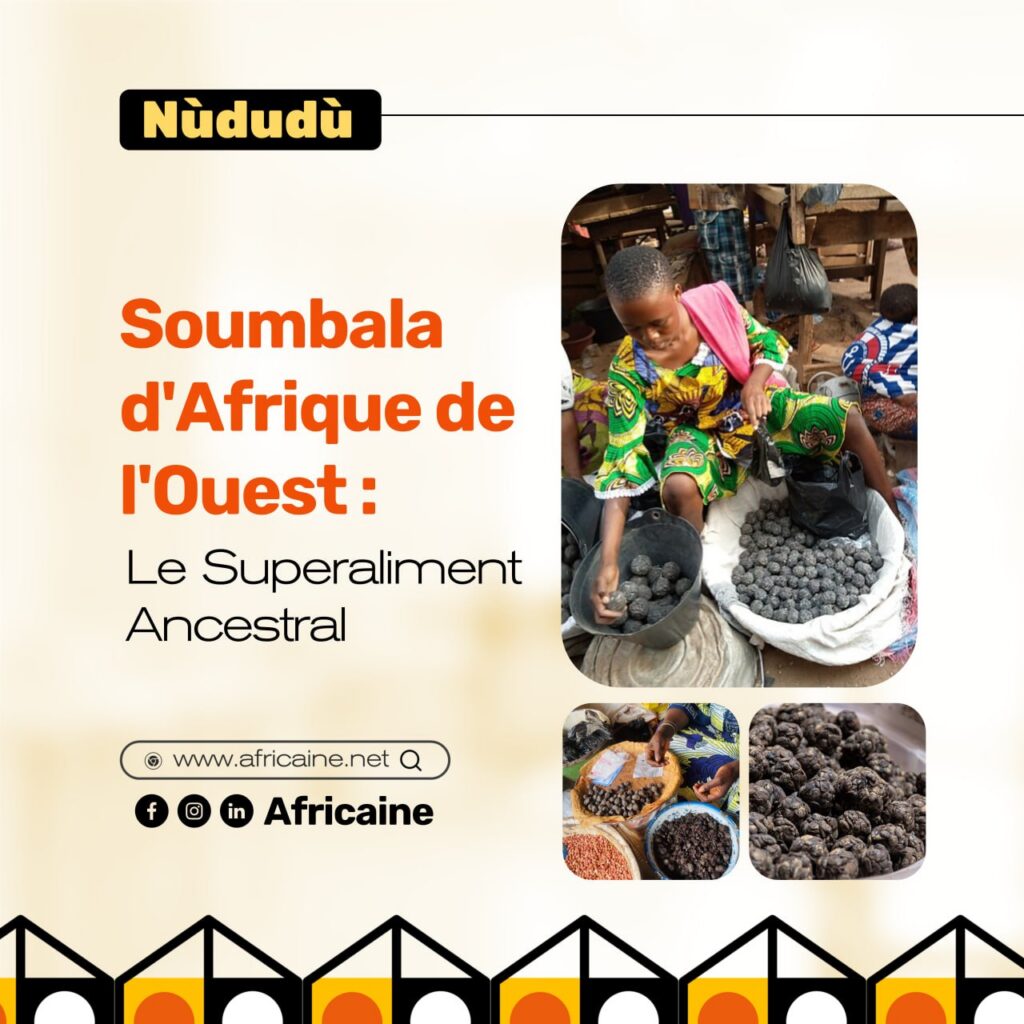 soumbala afrique de l'ouest condiment traditionnel